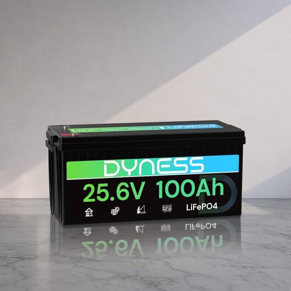 Batería Dyness 25.6V 100Ah