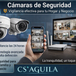 Sistemas de Seguridad con Camaras