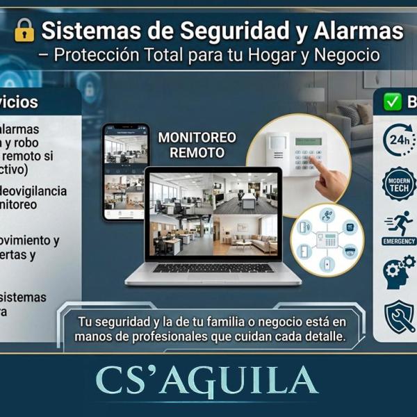 Sistemas de Seguridad y Alarmas